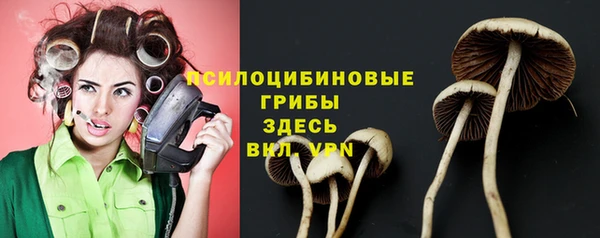 трава Медногорск