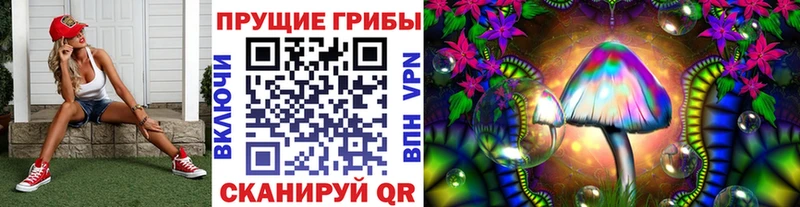 Псилоцибиновые грибы Cubensis  Стрежевой 